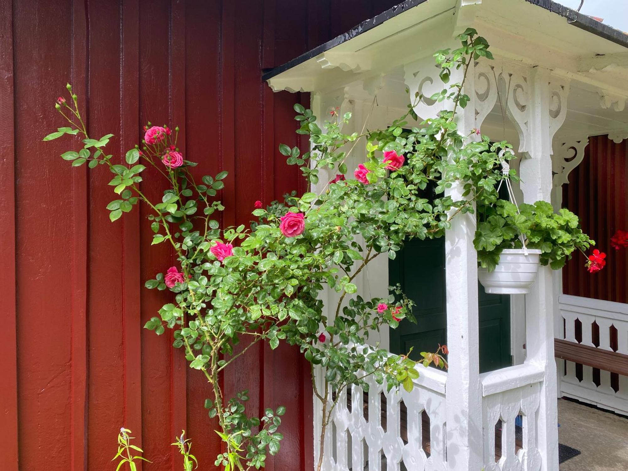 Stenbrottets Lillstuga Falköping Dış mekan fotoğraf